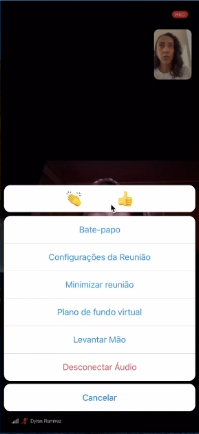 Imagem das opções que aparecem no menu Mais de uma reunião do Zoom pelo celular